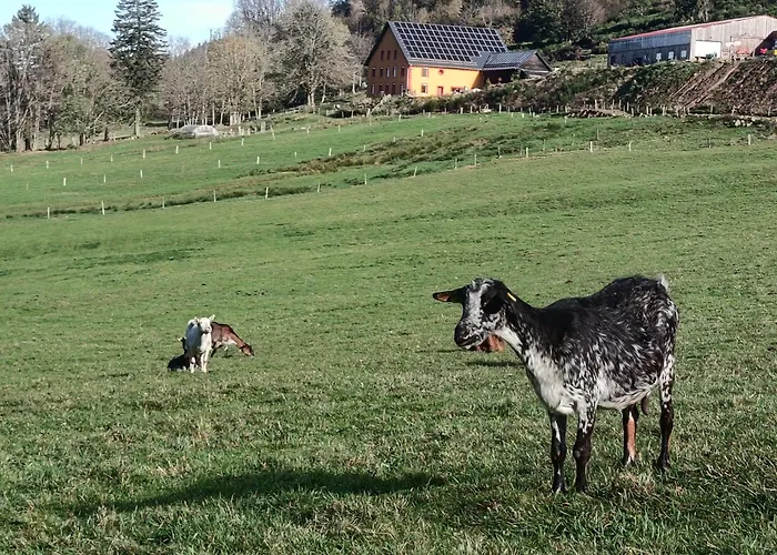 Tiny House A La Ferme Wisembach