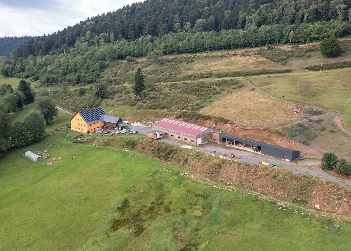 Tiny House A La Ferme Wisembach